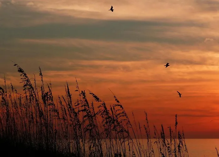 Holiday home Barefoot B201 Clearwater Beach